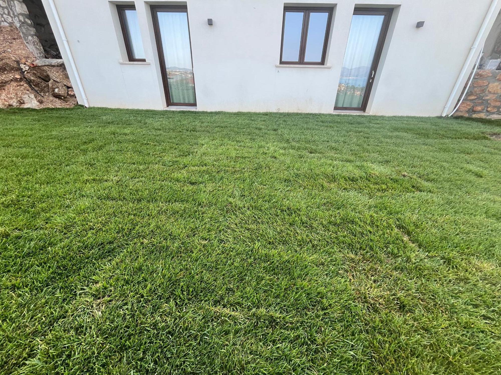 Tenuta Rapillo Castellammare del Golfo Eksteriør bilde